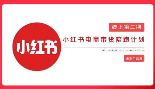 2025小红书虚拟电商实战课，从0到1打造无货源店铺，AI+爆款笔记轻松变现_就是爱分享