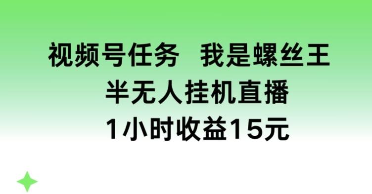 视频号任务，我是螺丝王， 半无人挂机1小时收益15元【揭秘】_就是爱分享