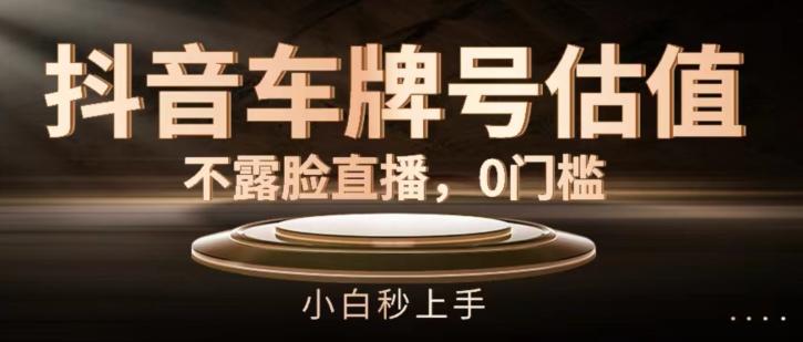 抖音车牌号估值，不露脸直播，0门槛，小白秒上手【揭秘】_就是爱分享