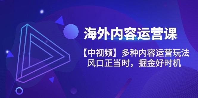 海外内容 运营课【中视频】多种内容运营玩法 风口正当时 掘金好时机-101节_就是爱分享