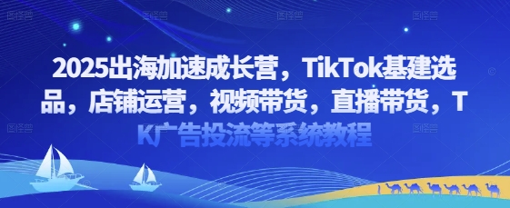 2025出海加速成长营，TikTok基建选品，店铺运营，视频带货，直播带货，TK广告投流等系统教程_就是爱分享