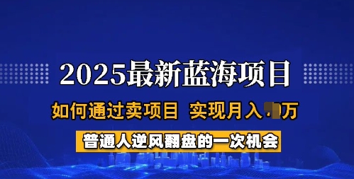 2025蓝海项目，普通人如何通过卖项目，实现月入过W，全过程【揭秘】_就是爱分享