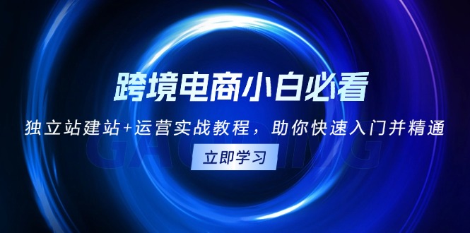 跨境电商小白必看！独立站建站+运营实战教程，助你快速入门并精通_就是爱分享