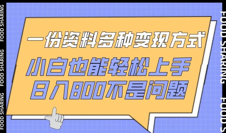 一份资料多种变现方式，小白也能轻松上手，日入800不是问题【揭秘】_就是爱分享