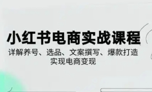 小红书从0-1实操课(2023-2025)，详解养号、选品、文案撰写、爆款打造实现电商变现_就是爱分享