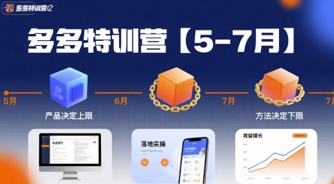 多多特训营，产品决定上限，方法决定下限，各种玩法技巧落地实操（更新）_就是爱分享