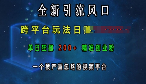 全新引流风口，跨平台玩法日入上k，单日狂揽200+精准创业粉，一个被严重忽略的视频平台_就是爱分享