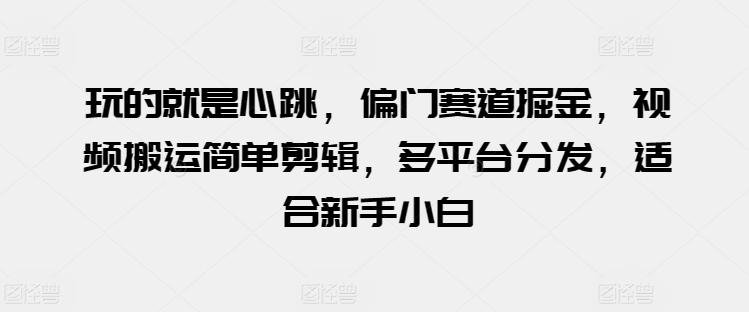 玩的就是心跳，偏门赛道掘金，视频搬运简单剪辑，多平台分发，适合新手小白【揭秘】_就是爱分享