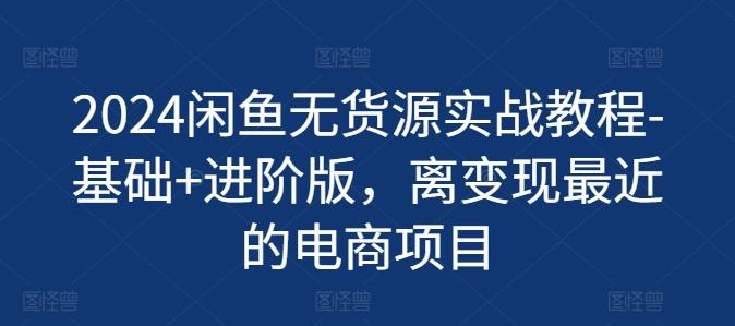 2024闲鱼无货源实战教程-基础+进阶版，离变现最近的电商项目_就是爱分享