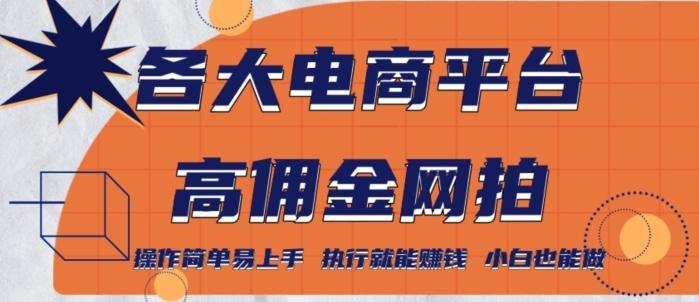 各大电商平台高佣金网拍，操作简单易上手，执行就能赚钱，小白也能做_就是爱分享
