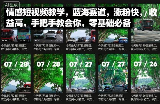 情感短视频教学，蓝海赛道，涨粉快，收益高，手把手教会你，零基础必备_就是爱分享