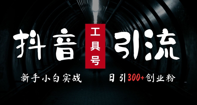2024最新抖音工具号引流玩法，高效日引300+创业粉，当天变现5k，小白也可成为实战高手_就是爱分享