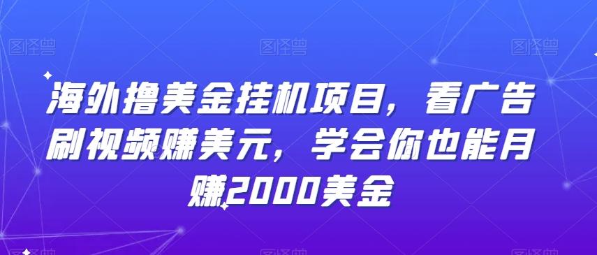 海外撸美金挂机项目，看广告刷视频赚美元，学会你也能月赚2000美金_就是爱分享