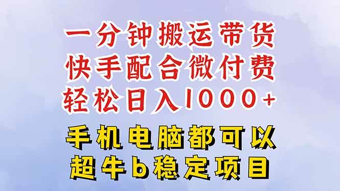 （16285期）快手黑科技一分钟搬运带货，一刀不剪过原创，微付费投流玩法，轻松日入…_就是爱分享