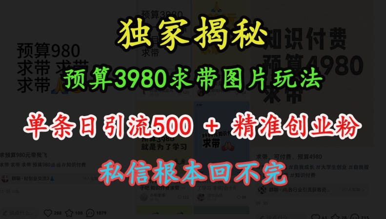 预算3980求带 图片玩法，单条日引流500+精准创业粉，私信根本回不完_就是爱分享