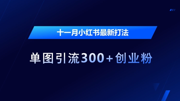 十一月小红书最新打法，单图引流300+创业粉【揭秘】_就是爱分享