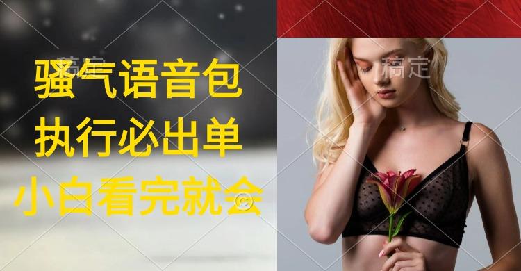 (9589期)执行就出单，日入2000+，超火骚气语音包，小白看完课程就能马上实操_就是爱分享