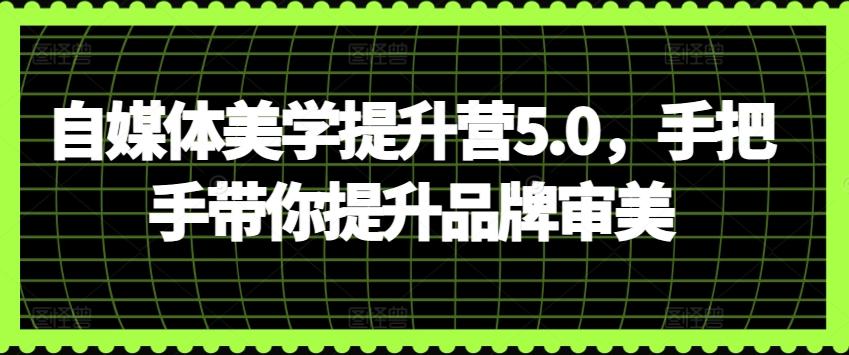 自媒体美学提升营5.0，手把手带你提升品牌审美_就是爱分享