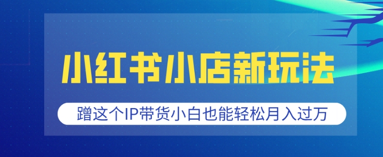 小红书小店新玩法，蹭这个IP带货，小白也能轻松月入过W【揭秘】_就是爱分享