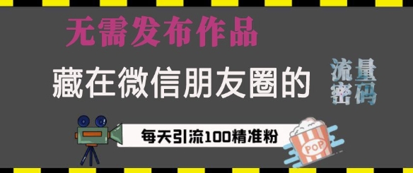 藏在微信朋友圈的流量密码，无需发布作品，单日引流100+精准创业粉【揭秘】_就是爱分享