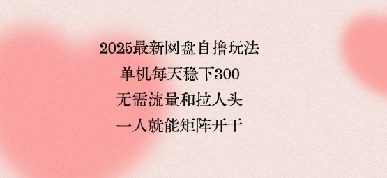 2025最新网盘自撸玩法，单机每天稳下3张，无需流量和拉人头，一个人就可轻松矩阵，全网独一份【揭秘】_就是爱分享