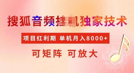全网首发搜狐音频挂JI独家技术，项目红利期，可矩阵可放大，稳定月入8k【揭秘】_就是爱分享