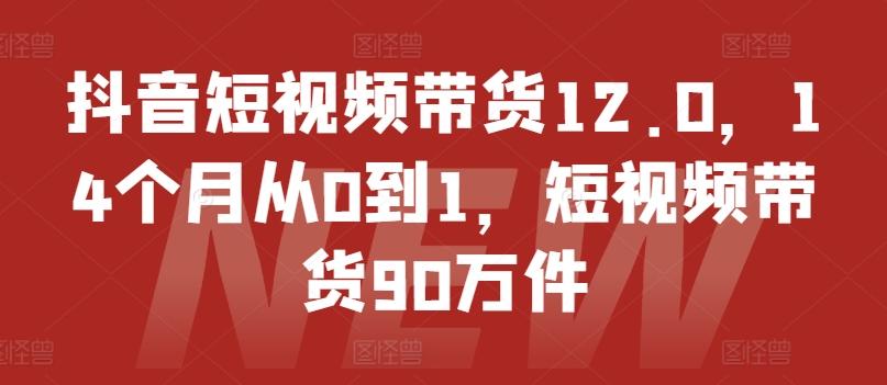 抖音短视频带货12.0，14个月从0到1，短视频带货90万件_就是爱分享