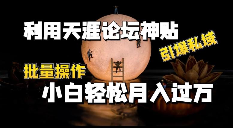 利用天涯论坛神贴，引爆私域，批量操作，小白轻松月入过w【揭秘】_就是爱分享