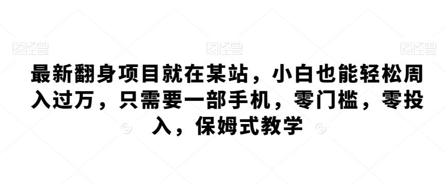 最新翻身项目就在某站，小白也能轻松周入过万，只需要一部手机，零门槛，零投入，保姆式教学_就是爱分享