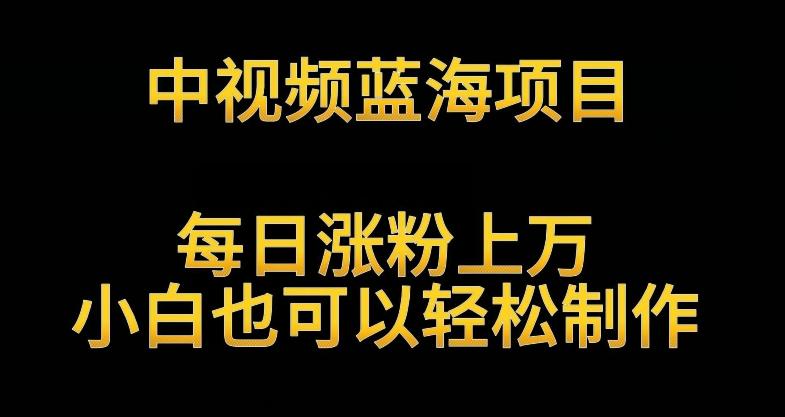 中视频蓝海项目，解读英雄人物生平，每日涨粉上万，小白也可以轻松制作，月入过万不是梦【揭秘】_就是爱分享