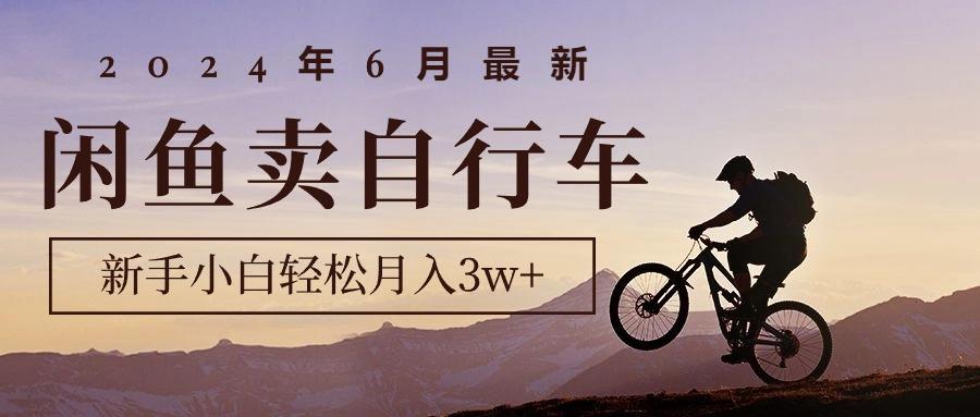 2024年6月最新闲鱼卖自行车，新手小白轻松月入3w+项目_就是爱分享
