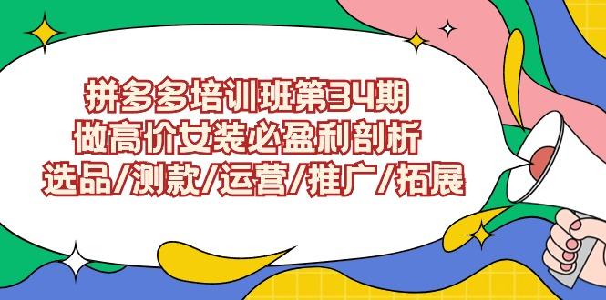 (9333期)拼多多培训班第34期：做高价女装必盈利剖析  选品/测款/运营/推广/拓展_就是爱分享