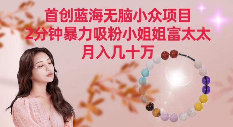 首创蓝海无脑小众项目，2分钟暴力吸粉小姐姐富太太，月入几十万【揭秘】_就是爱分享