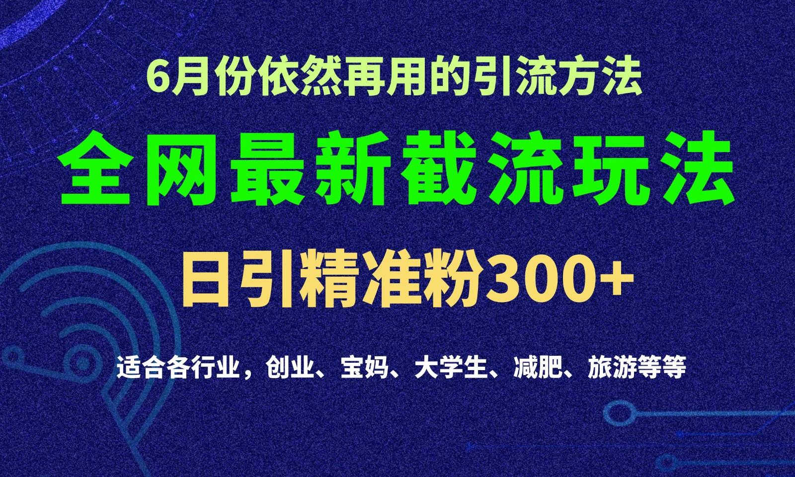 2024全网最新截留玩法，每日引流突破300+_就是爱分享