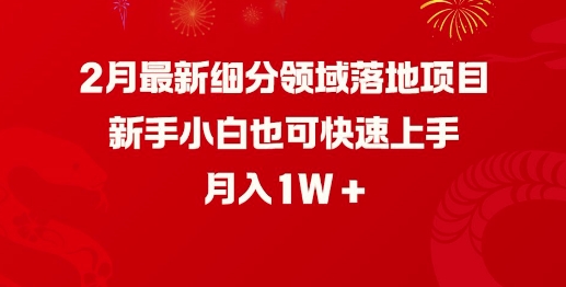 2月最新细分领域落地项目，新手小白也可快速上手，月入1W_就是爱分享