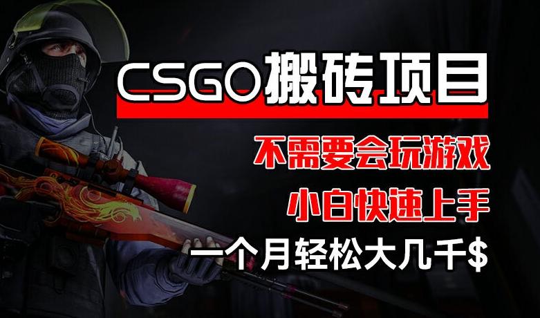 CSGO 装备搬砖项目，操作简单，不需要会玩游戏，小白也能快速上手，一个月轻松大几千【揭秘】_就是爱分享