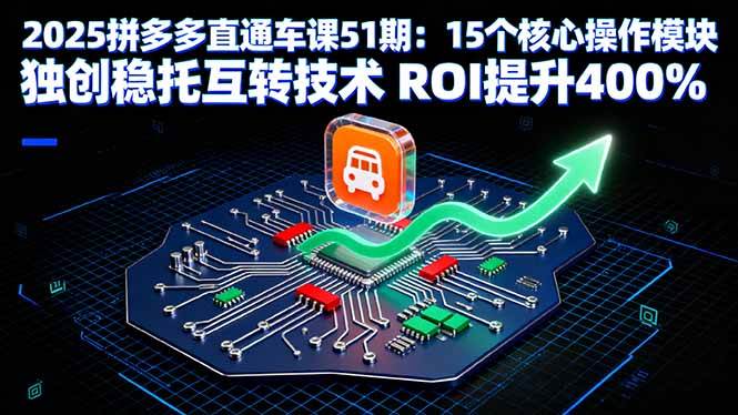 （16020期）2025拼多多直通车课51期：15个核心操作模块 独创稳托互转技术 ROI提升400%_就是爱分享