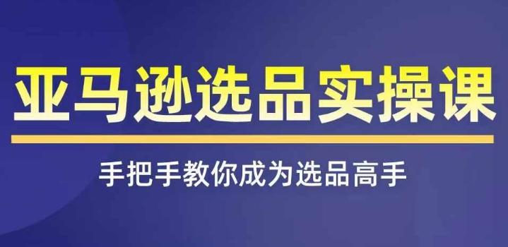 亚马逊选品实操课程，快速掌握亚马逊选品的技巧，覆盖亚马逊选品所有渠道_就是爱分享