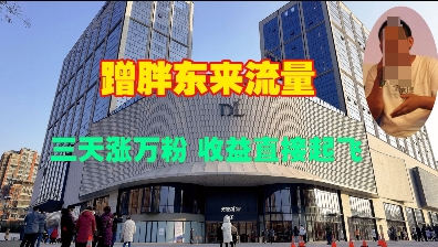 蹭胖东来流量，三天涨万粉，收益直接起飞_就是爱分享