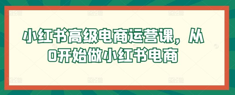 小红书高级电商运营课，从0开始做小红书电商_就是爱分享