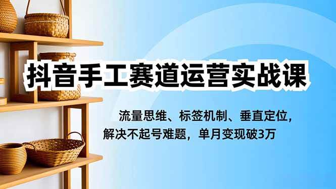 （16667期）抖音手工赛道运营实战课，流量思维、标签机制、垂直定位，解决不起号难题，单月变现破3万_就是爱分享