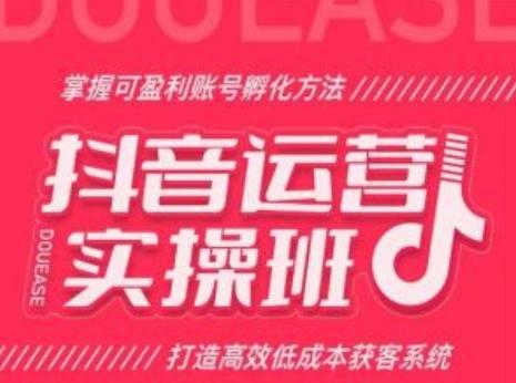抖音运营实操班，掌握可盈利账号孵化方法，打造高效低成本获客系统_就是爱分享
