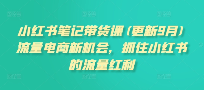 小红书笔记带货课(更新25年3月)流量电商新机会，抓住小红书的流量红利_就是爱分享