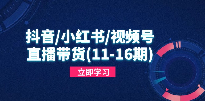 抖音/小红书/视频号/直播带货(11-16期_就是爱分享