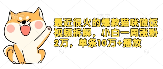 最近很火的爆款猫咪做饭视频拆解，小白一周涨粉2万，单条10万+播放(附保姆级教程)_就是爱分享