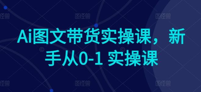 Ai图文带货实操课，新手从0-1 实操课_就是爱分享