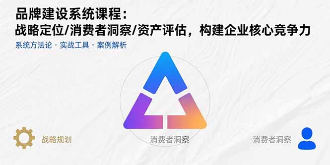 品牌建设系统课程：战略定位/消费者洞察/资产评估，构建企业核心竞争力_就是爱分享