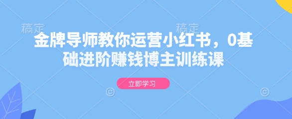 金牌导师教你运营小红书，0基础进阶赚钱博主训练课_就是爱分享