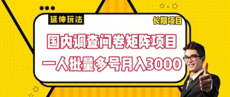 国内调查问卷矩阵项目，一人批量多号月入3000【揭秘】_就是爱分享