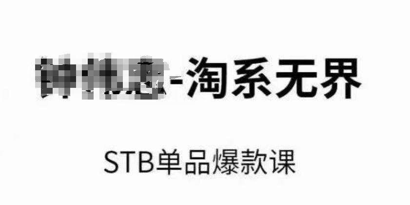 淘系无界STB单品爆款课(2024)，付费带动免费的核心逻辑，万相台无界关键词推广/精准人群的核心_就是爱分享